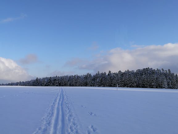 Winterlandschaft mit Loipe